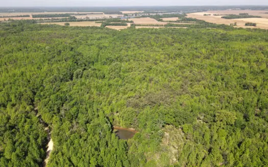 Riverfront Legacy Farm | 700 Acres ± | Land For Sale In Tn