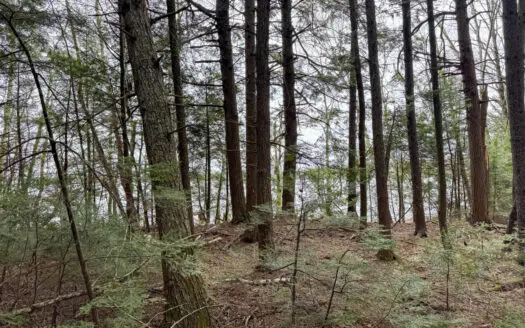 3.22 Acre Property with 483 Feet of Lakefront – Danforth, Maine