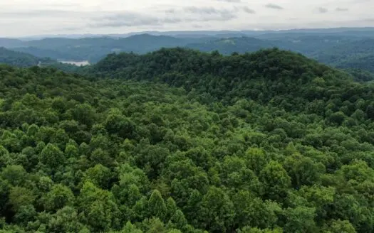 Auction-Wooded Lot with Norris Lake Access-New Tazewell-Tennessee