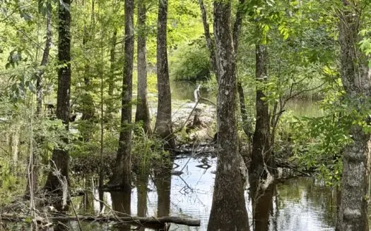 130 Acres on the Chipola River | Hunting, Fishing & Recreation