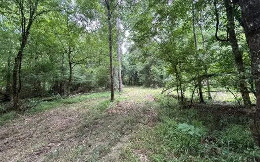 113± Acres for Sale in Osyka, MS on Tickfaw River