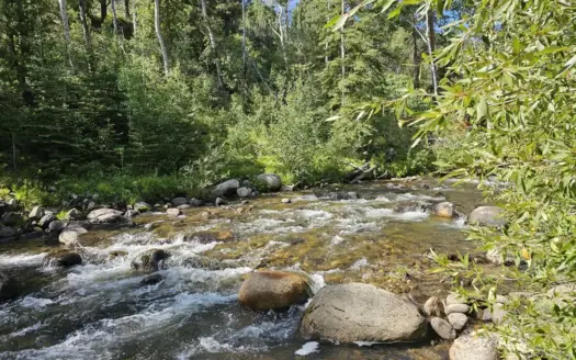 Riverfront Acreage for Sale in Salida, CO