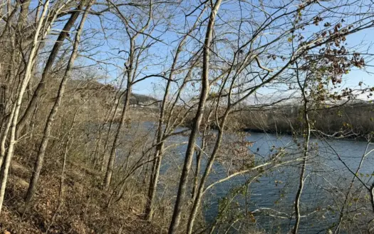 Riverfront Lot on the White River in Guion Arkansas