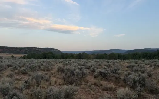 Land For Sale On Glade Park Colorado With River Frontage