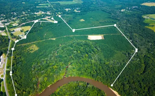 224.56 Acres | Prime Hunting Land | Oglethorpe, Ga