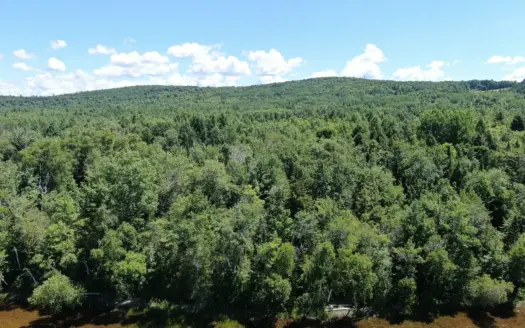 1.274 Acre Parcel with Deeded Lake Access