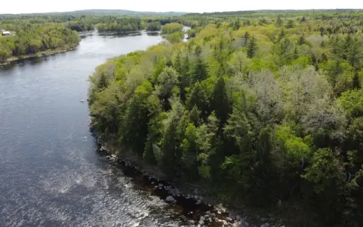 Maine River Property – 40.18 Acres – Woodville
