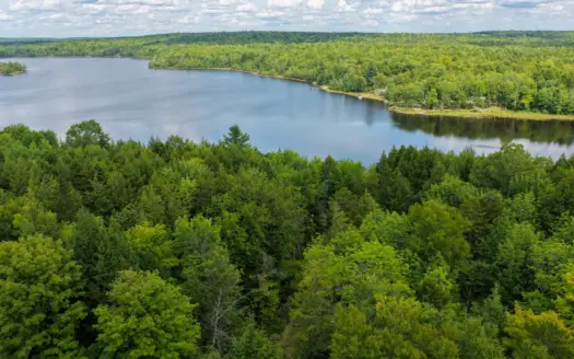 Lakefront Land for Sale in Molunkus Township, Maine