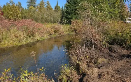 Thunder Bay River Acreage – 3.31 Acres in Atlanta MI