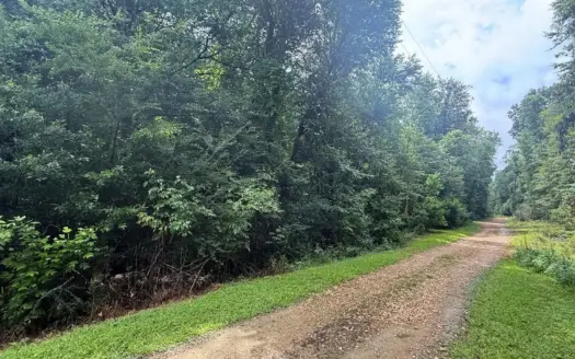 Waterfront Lot on the Bogue Chitto River Summit, MS
