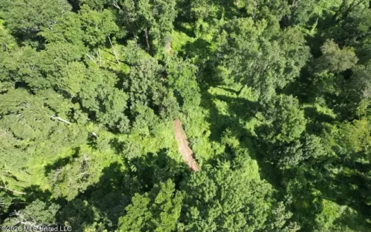 140± Acres in West Feliciana Parish, LA