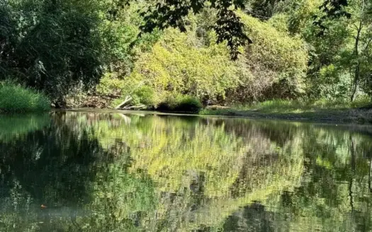 150 Acres for Sale in Magnolia MS on Tangipahoa River