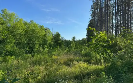 3+ Acres with 285′ Frontage on the Moosehorn River in Moose Lake