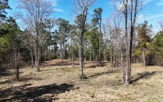 Waterfront Lot for Sale, Beaufort NC