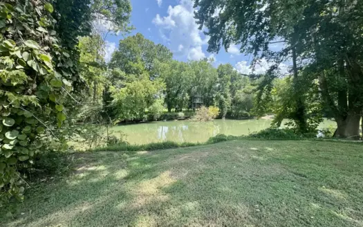 Buffalo River Lot in Linden, TN