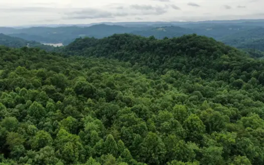 Auction-Wooded Lot with Norris Lake Access-New Tazewell-Tennessee