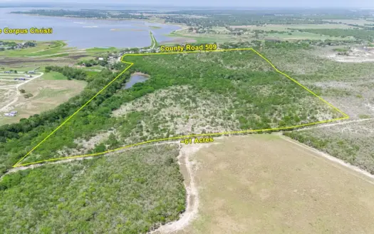 60+ Acres with Lake Views, Wildlife & County Road Frontage