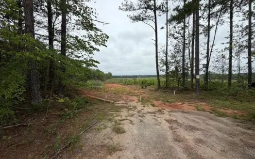 200± Acres Near Lake Gaston with Creek & Timber Potential