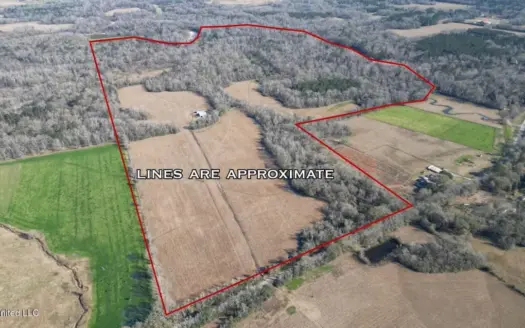 255 Acres East Baton Rouge Parish Near Zachary, LA