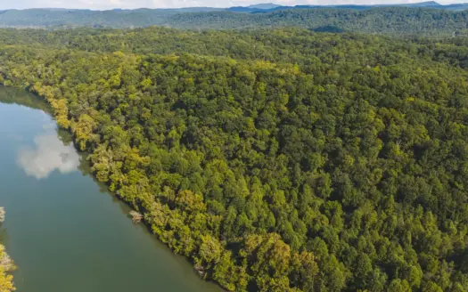 Unrestricted Riverfront Land in Hawkins County TN -Holston River