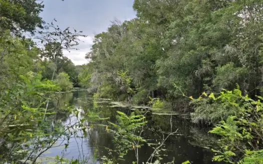 Waterfront lot with direct access to Suwannee River – 1.25 Acres