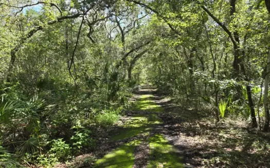 Canal Front Lot On Suwannee River Old Town Florida
