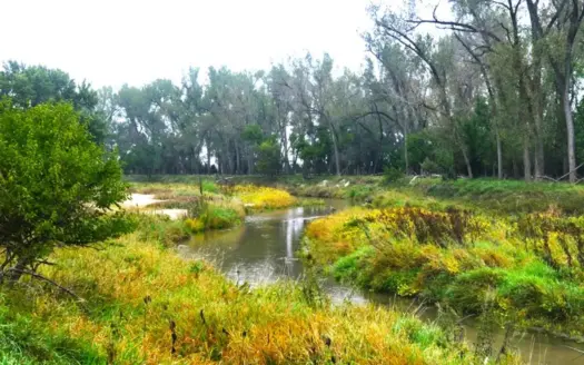 Nebraska Republican River Deer Hunting with Fishing Pond